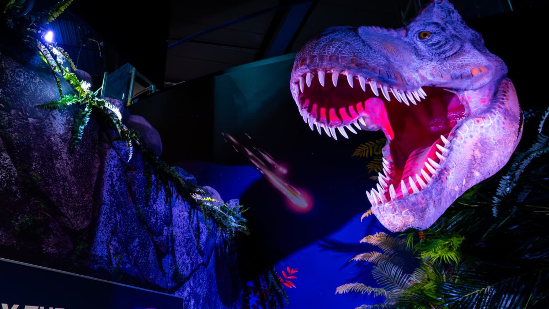 Roaring animatronic T. rex in a dinosaur visitor attraction exhibition